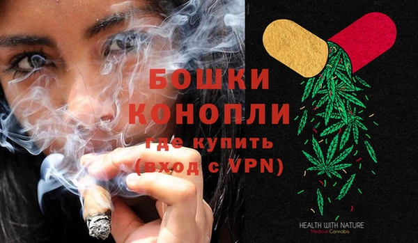 соль ск Пересвет