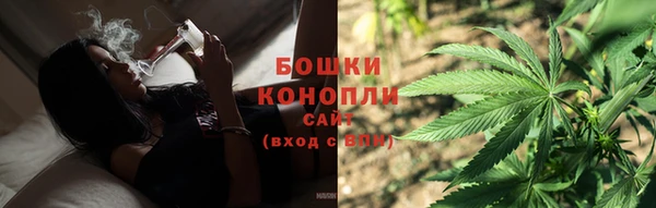 соль ск Пересвет