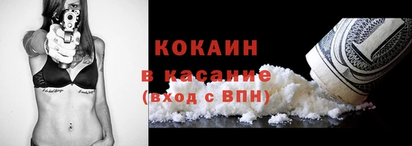 соль ск Пересвет