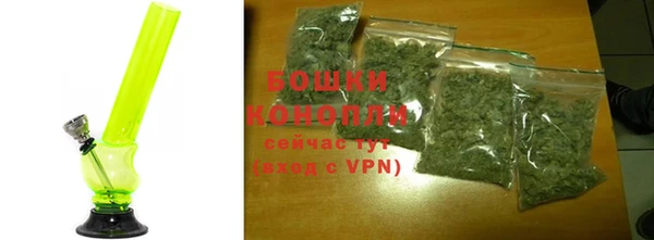 соль ск Пересвет