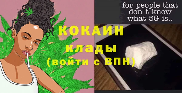 соль ск Пересвет