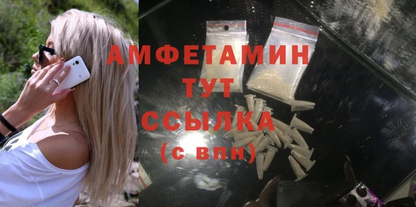 соль ск Пересвет