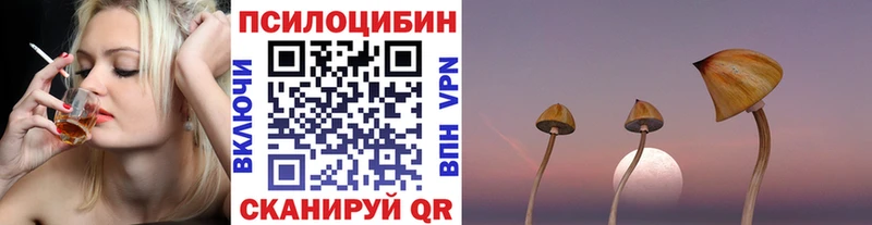 Галлюциногенные грибы Cubensis  Ветлуга 